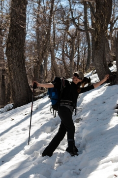  La senda cubierta de nieve